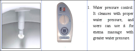 Bidet Features of the Ace HS 1000