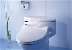 Toto S300 Toilet Seat Bidet