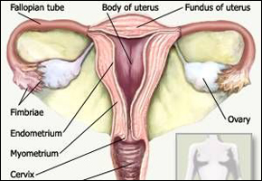 Benefits of Using a Bidet for Menstruating Women
