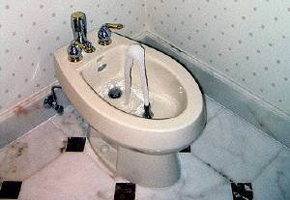 The French Bidet