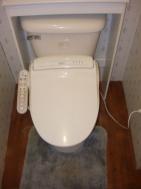 Toilet After Bio Bidet BB-800 is Installed